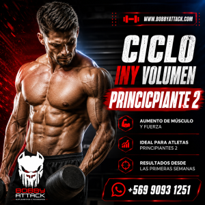 Ciclo de Volumen hombre Principiante 2