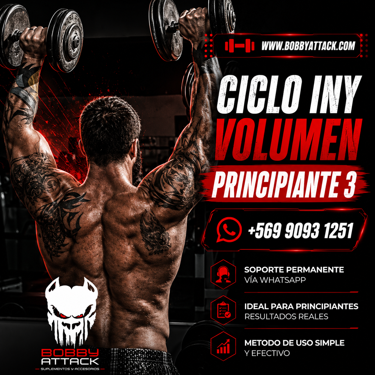 Ciclo de Volumen hombre principiante 3